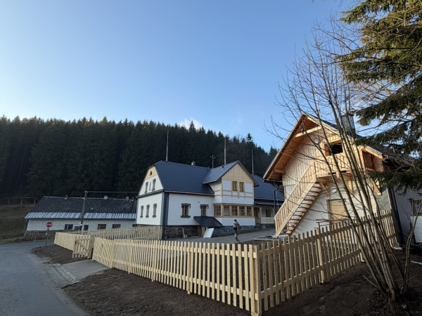 Lesovna 