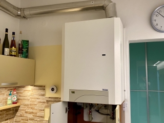 Viessmann Vitodens 111-W